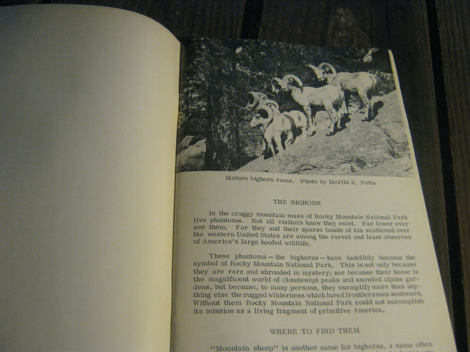 1968 Bighorn Elk and Deer Rocky Mountain National Park book Julie & Roger Contor