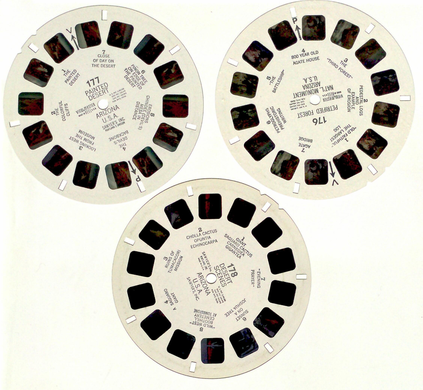 Vintage SAWYERS View Master PAINTED DESERT & PETRIFIED FOREST Arizona Travel set