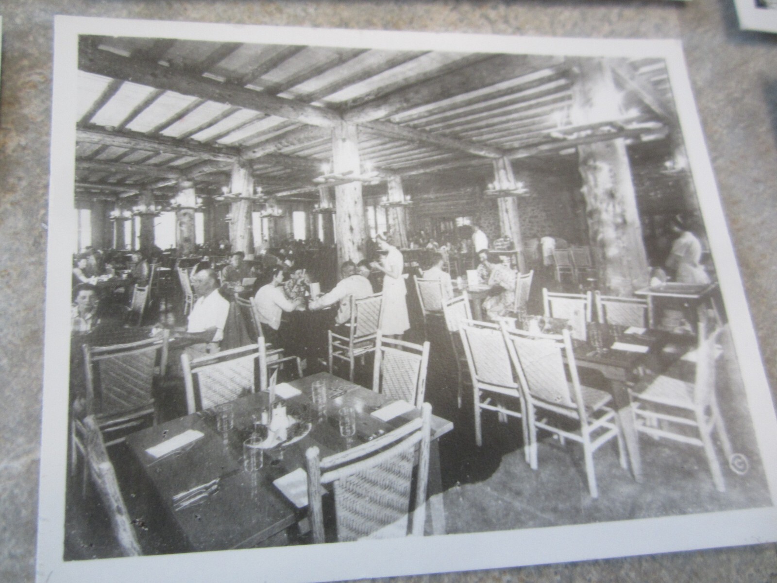Lot of 19 Old Vintage 1940’s – YELLOWSTONE National PARK – HAYNES PHOTOS