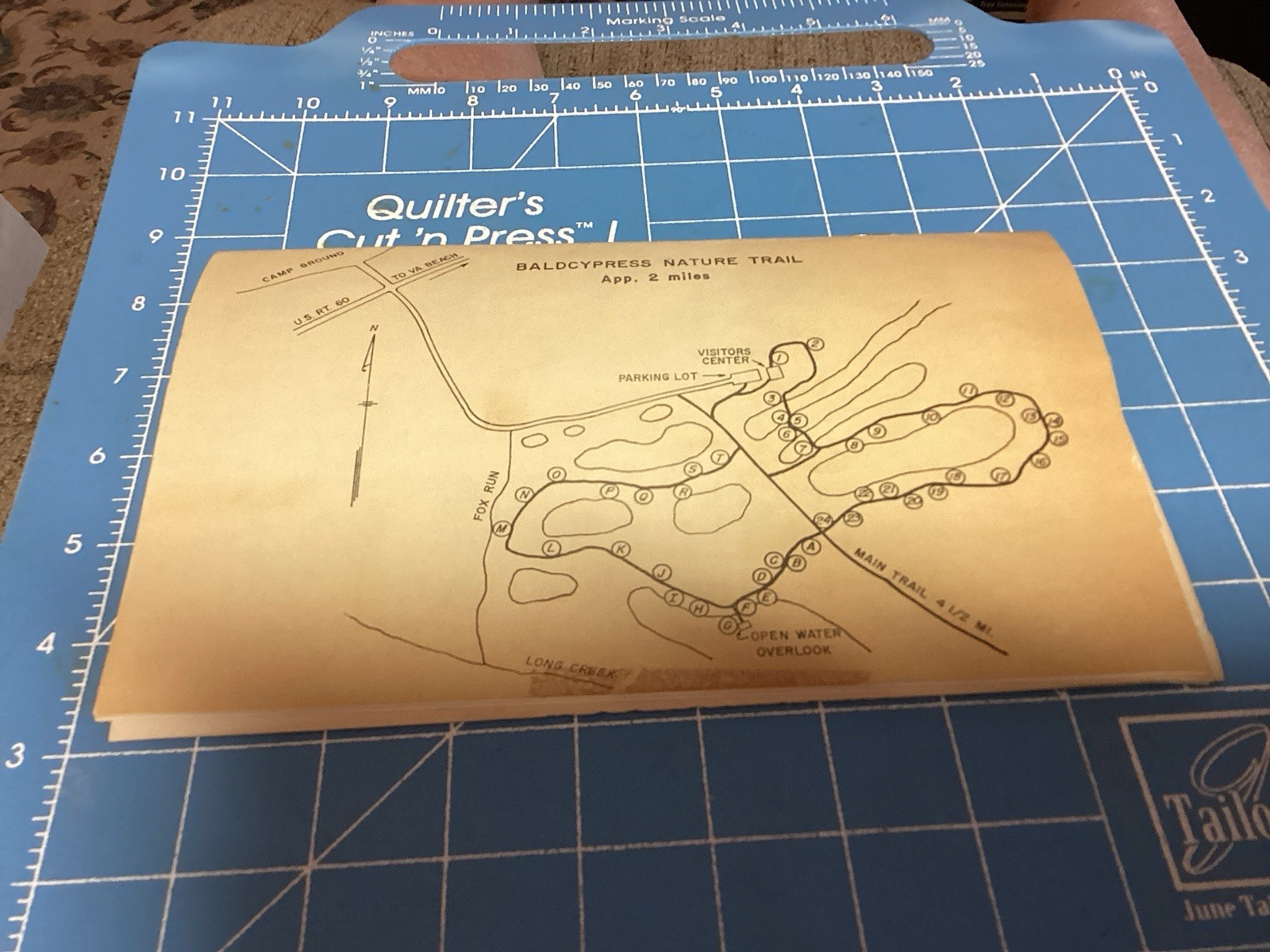 1969 Bald Cypress Nature Trail Brochure And Map