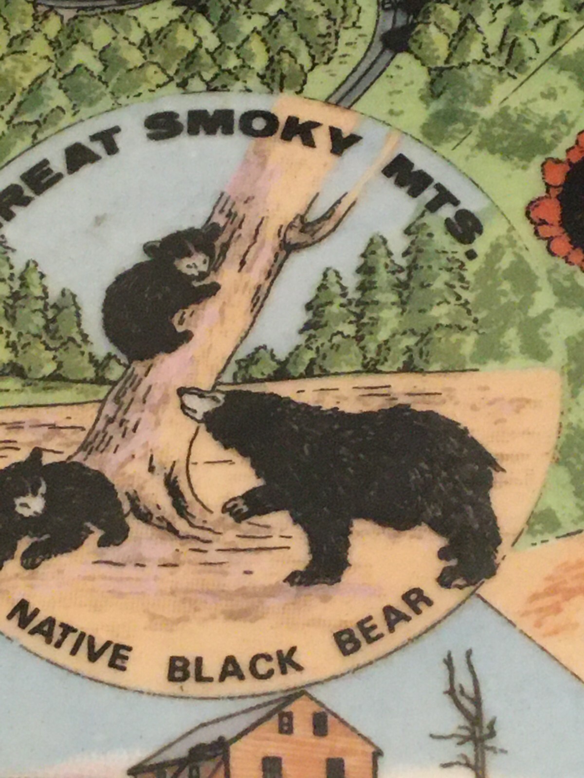 vintage souvenir plate Great Smoky Mts Black bear