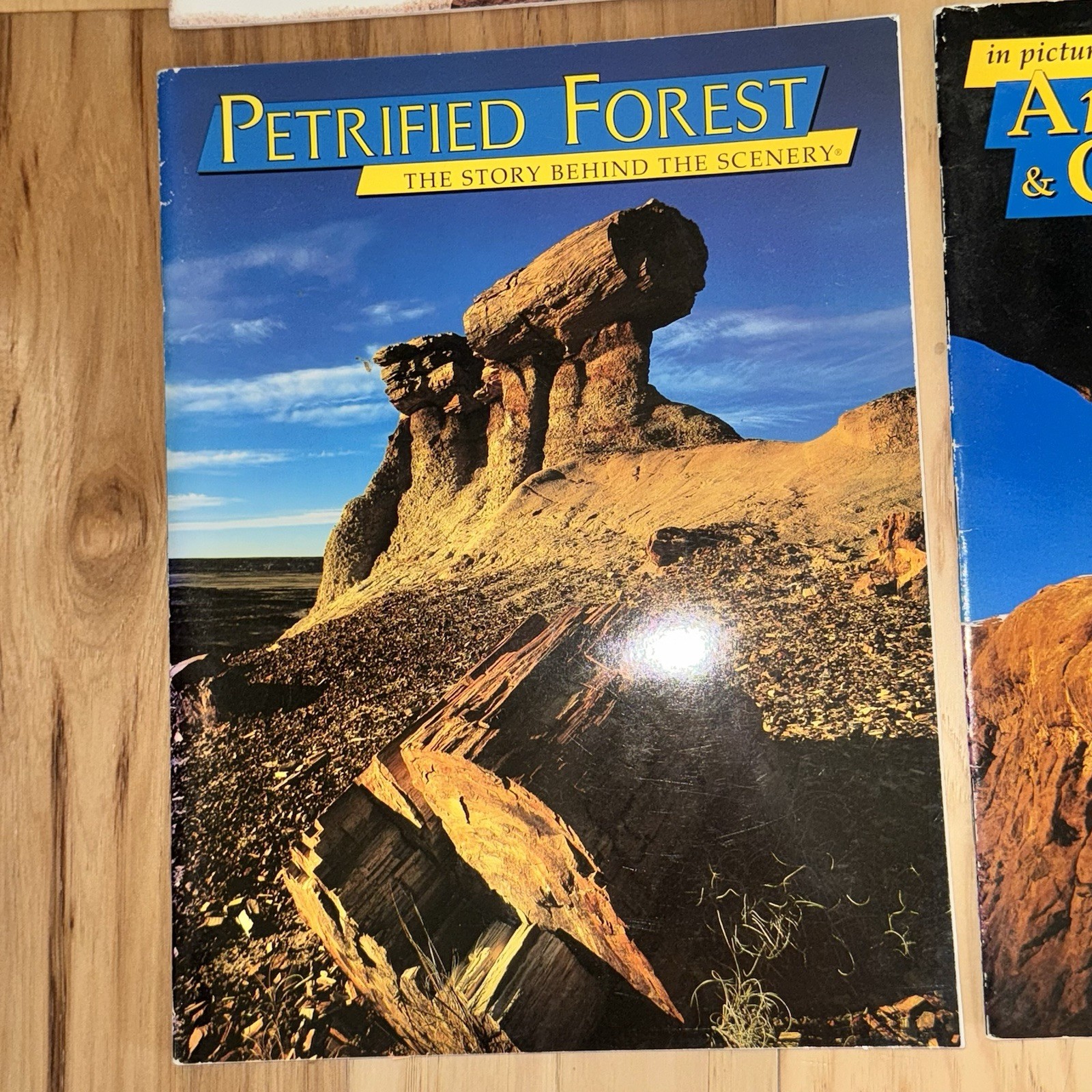 4 National Park Books – Mesa Verde, Arches, Petrified Forest, Natural Bridges