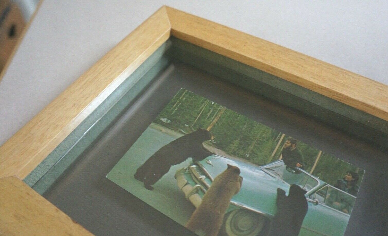 Iconic Mid-Century YELLOWSTONE NATIONAL PARK BEARS RPPC Framed & Weighted SEE!