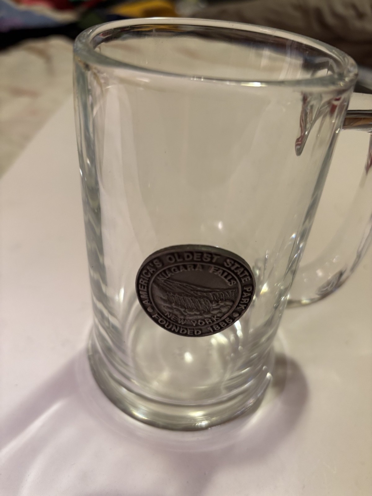 Niagara Falls First State Park Commemorative Medallion Clear Glass Mug