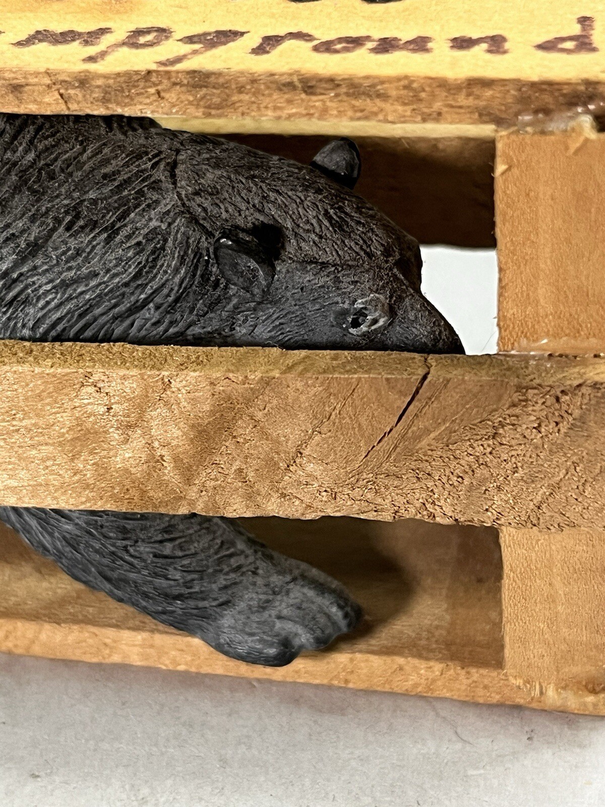 Bear Den Campground N.C. National Park Grizzly Bear In Crate Souvenir Vintage