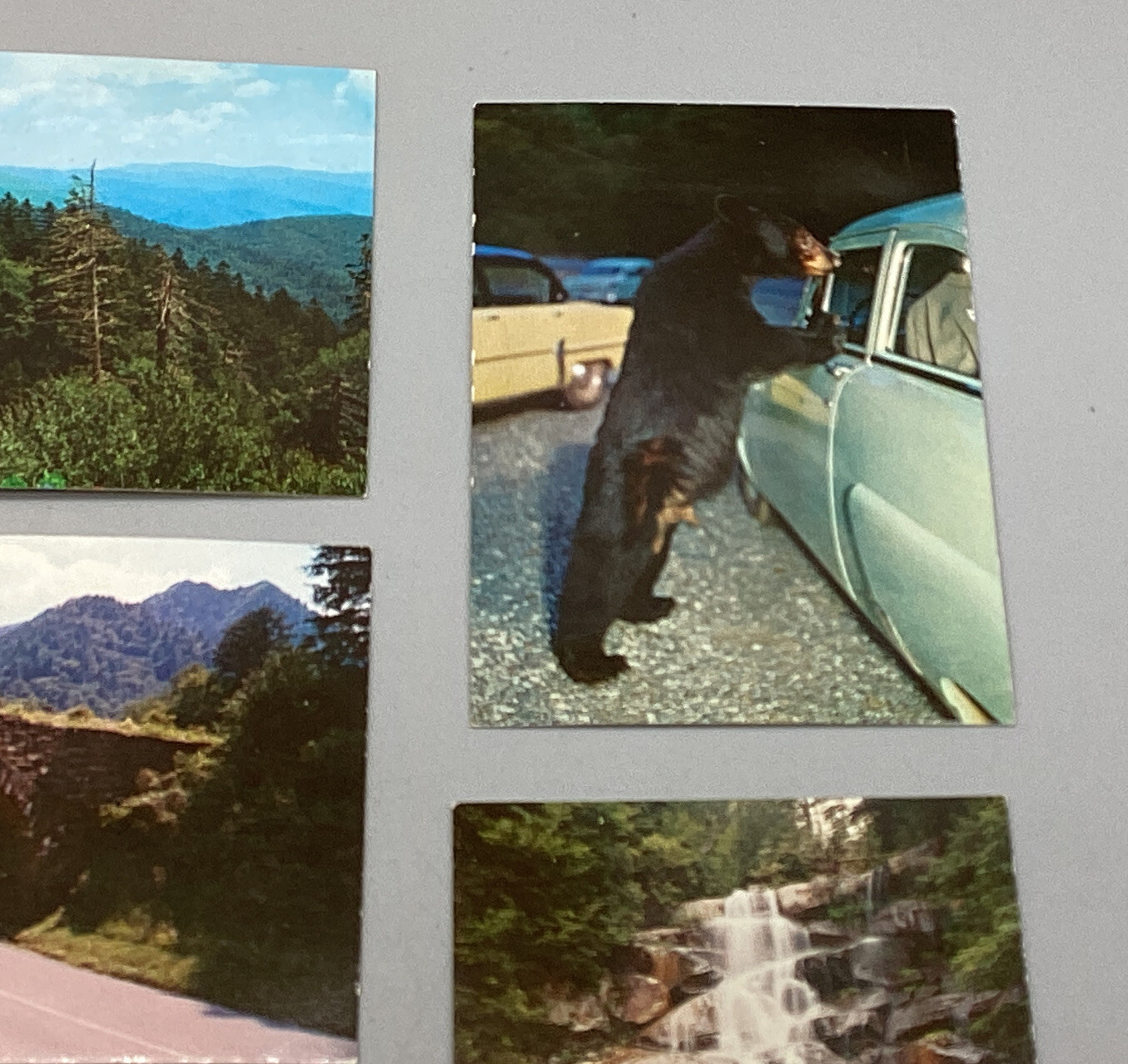 GREAT SMOKY MOUNTAINS NATIONAL PARK 2.5”x3.5” CLINE Card Travel Souvenir LOT x 8