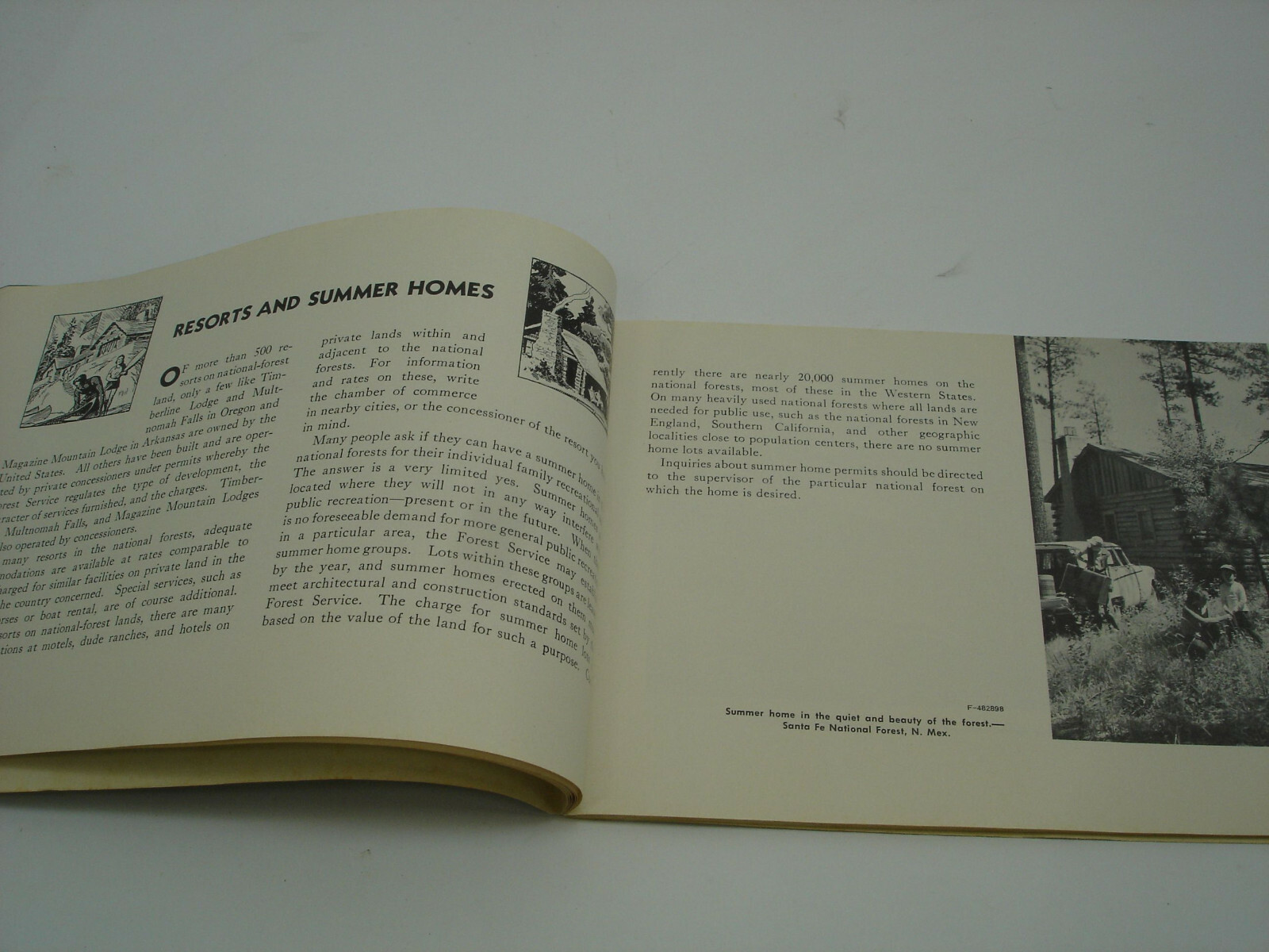 1960 NATIONAL FOREST VACATION Book Parks by State Scenic Drives Picnics Guide