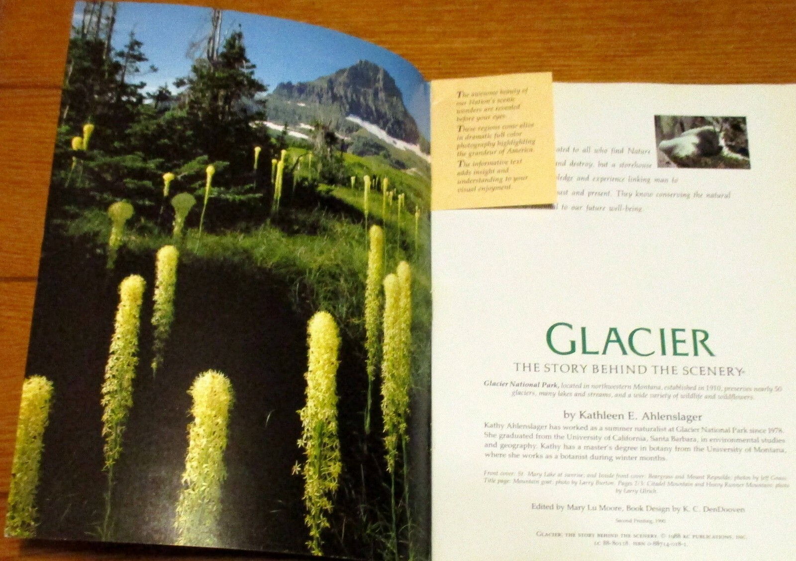 The Story Behind The Scenes Travel Book Lot (4)W/Glacier + Mt. Rainier & Bonus