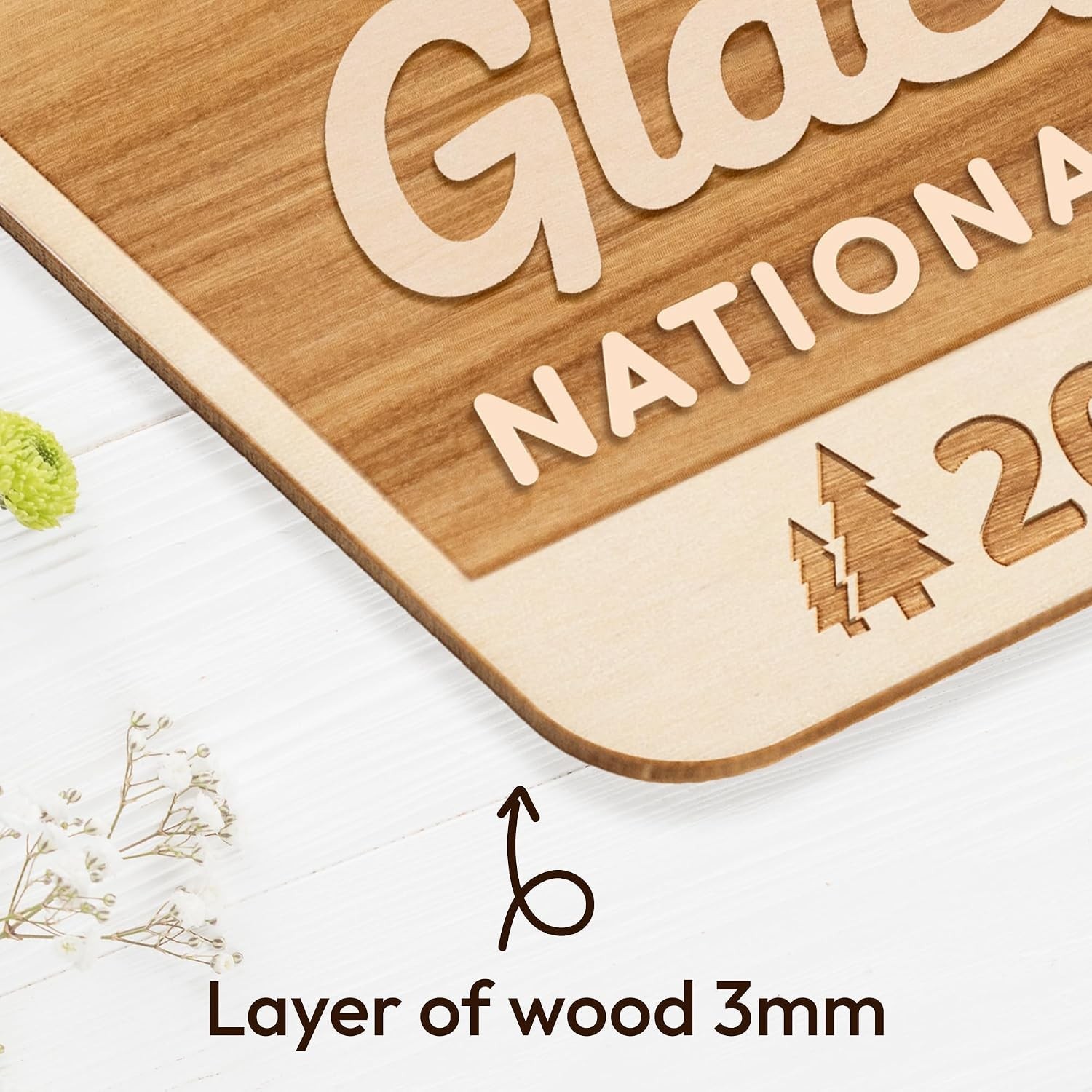 Wood National Park Ornaments, National Park Gifts for Travelers, Decor for C…
