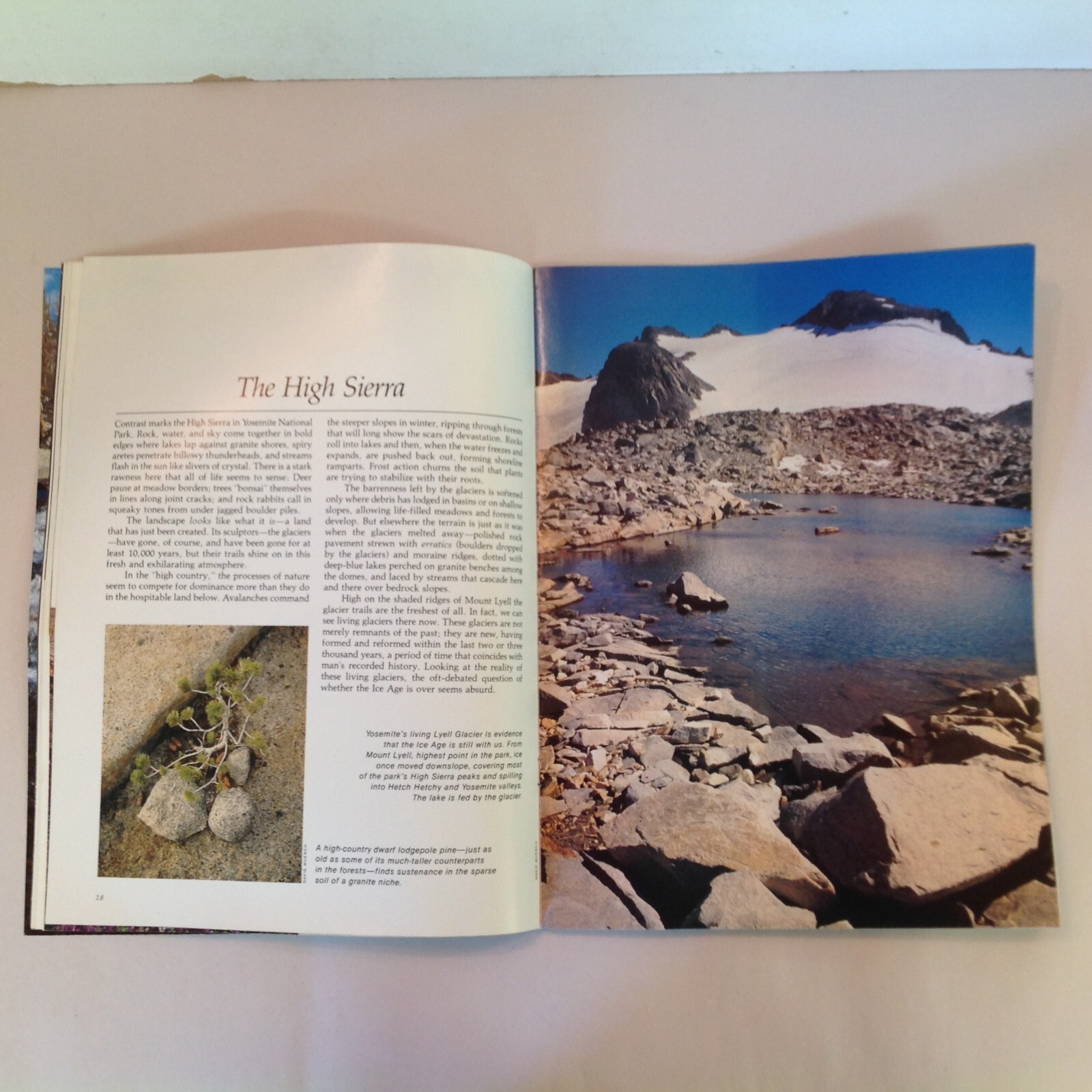 Vintage 1984 Souvenir Color Booklet Yosemite: The Story Behind the Scenery