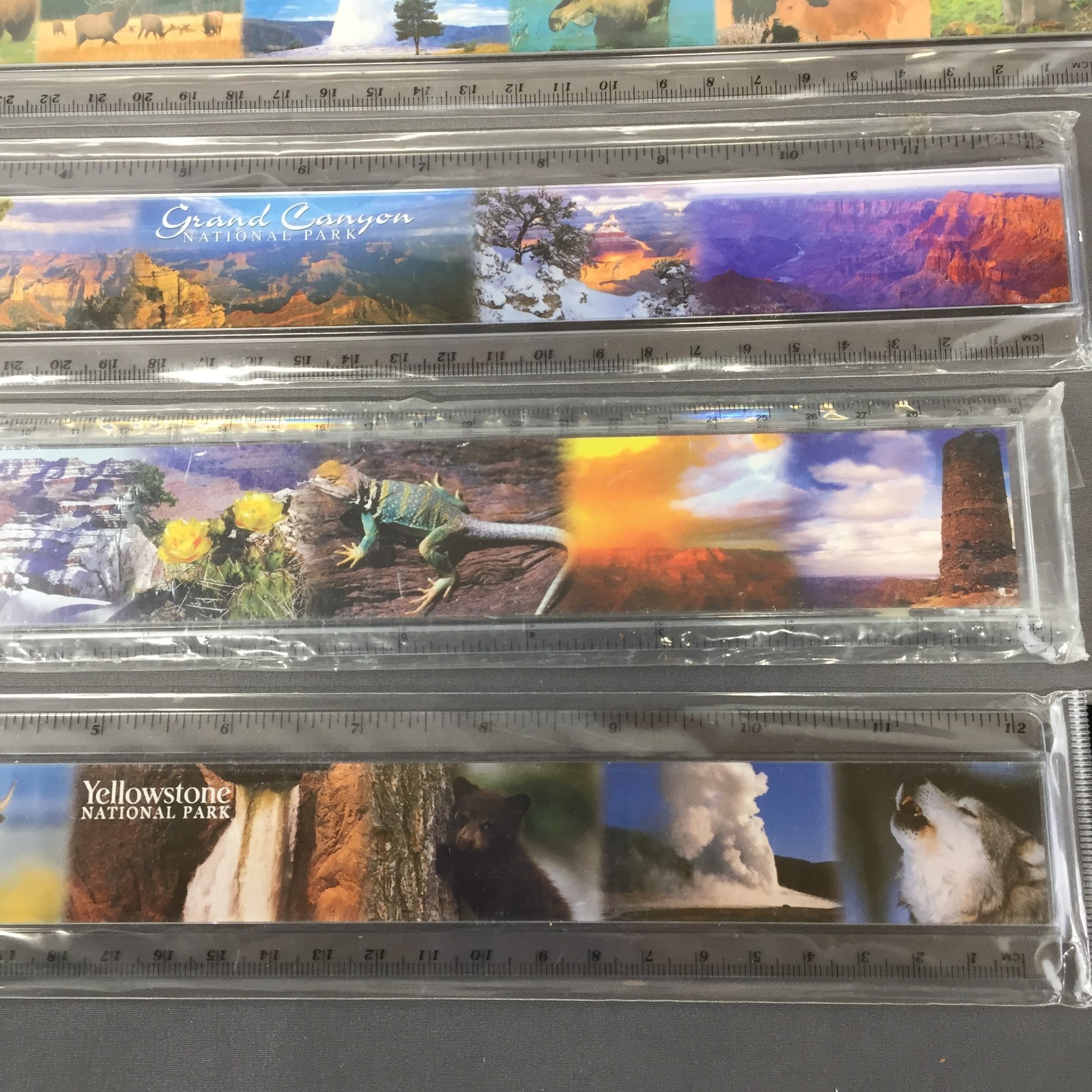 Lot of 6 NEW Souvenir Rulers – Yellowstone, Grand Canyon & N. American Wildlife