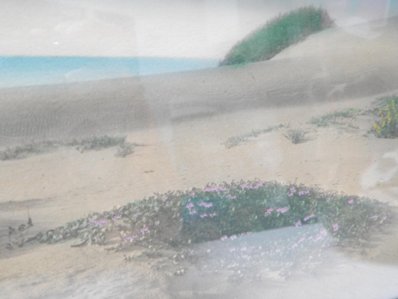 WONDERFUL ANTIQUE HAND TINTED PHOTOGRAPH – MICHIGAN / INDIANA DUNES ORIG FRAME