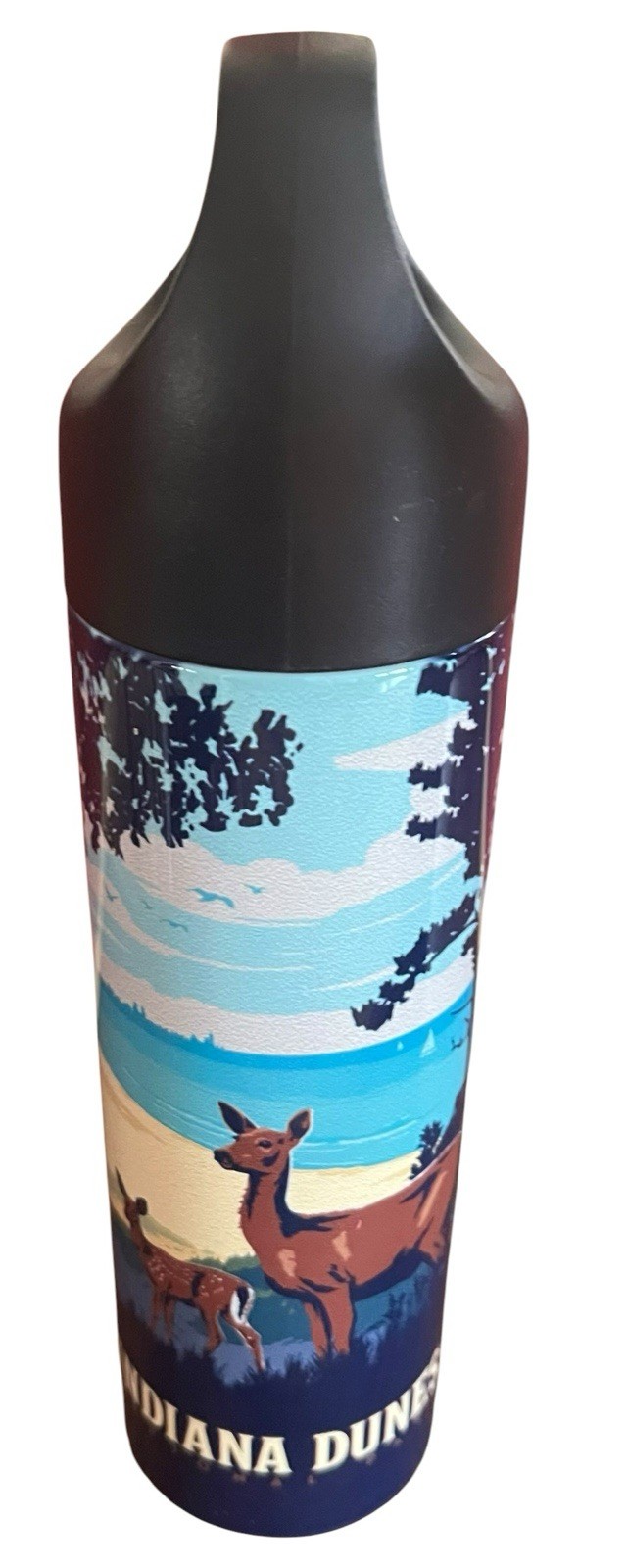 NEW Indiana Dunes National Park Travel Souvenir Thermos Stainless Steel 16oz !