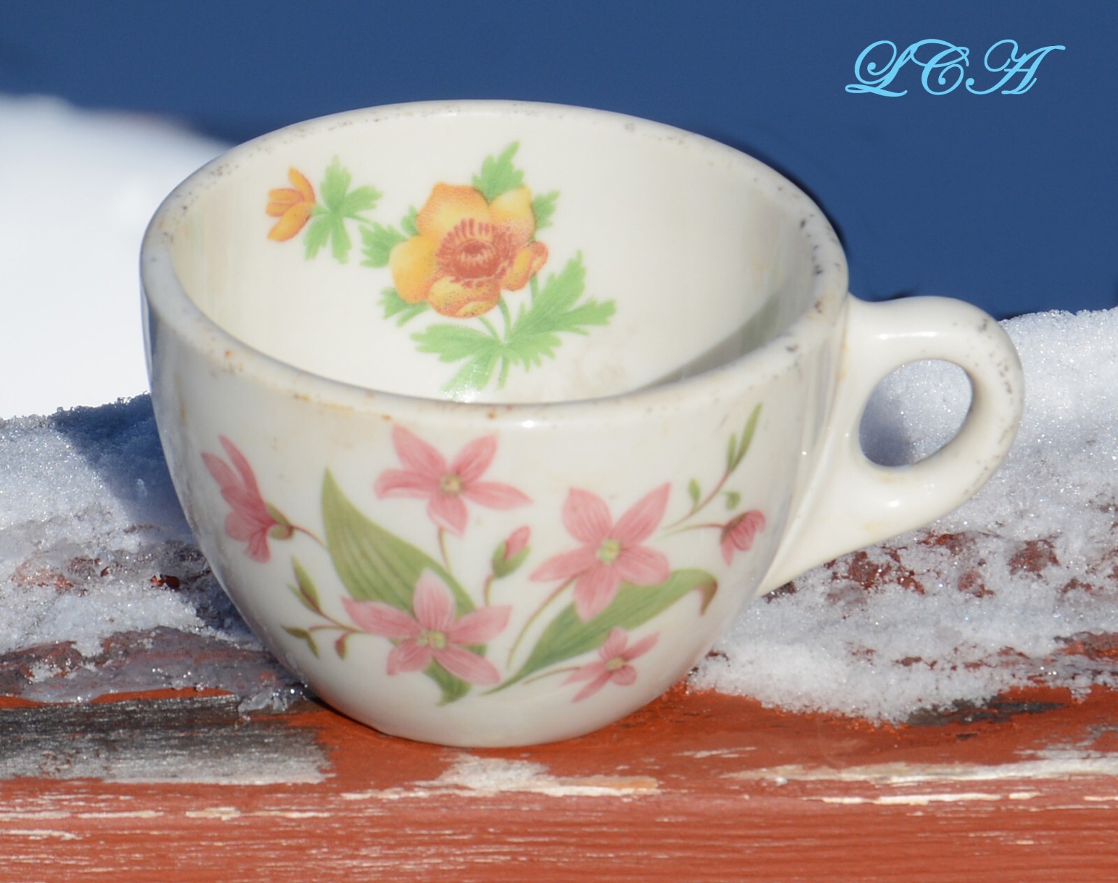 Antique GLACIER NAT’L PARK cup GREAT NORTHERN railroad SYRACUSE China MONTANA