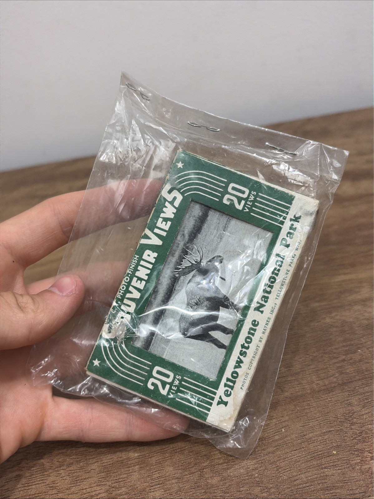 Souvenir Views Vtg picture 20 Mini YELLOWSTONE National Park Haynes