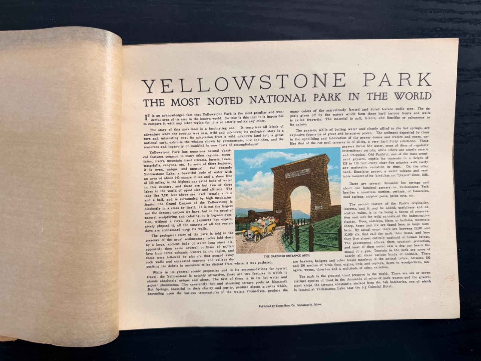 Vintage Yellowstone National Park Ephemera Mixed Lot! Maps~Postcards~Souvenirs++