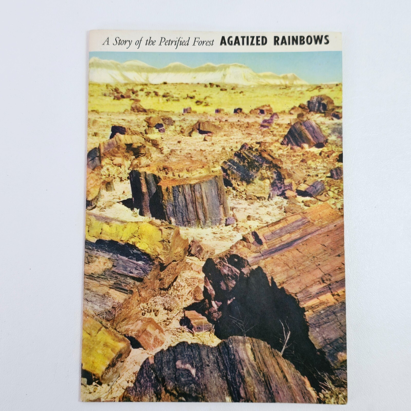 1951 A Story of The Petrified Forest Agatized Rainbows Popular Series No. 3 Book
