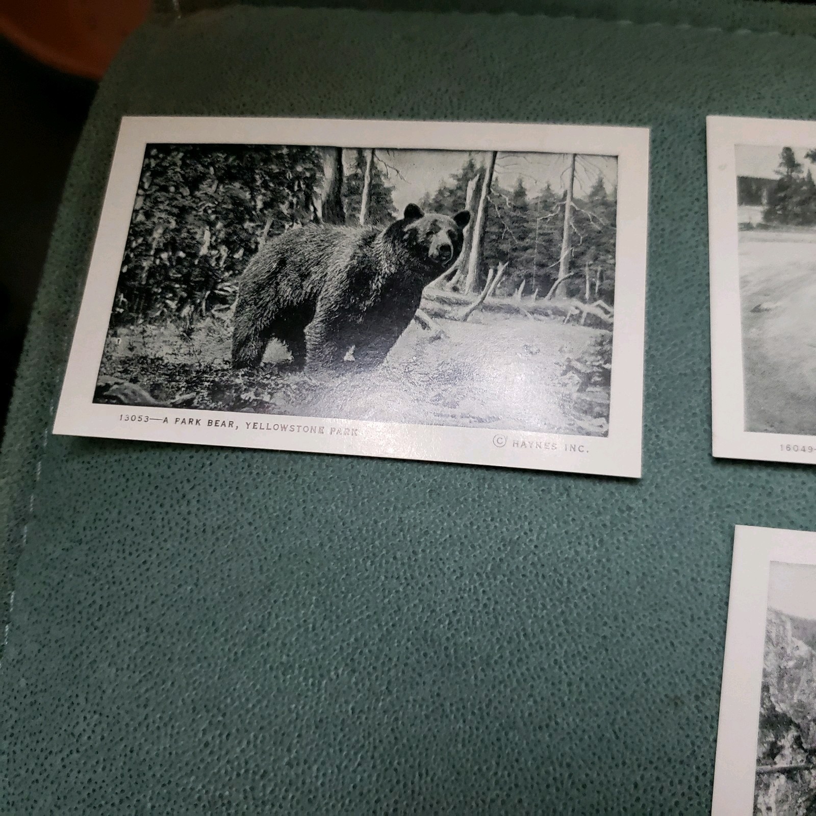 Vintage 1930s Yellowstone Souvenir Views Packet Haynes Studio 20 Photos Complete