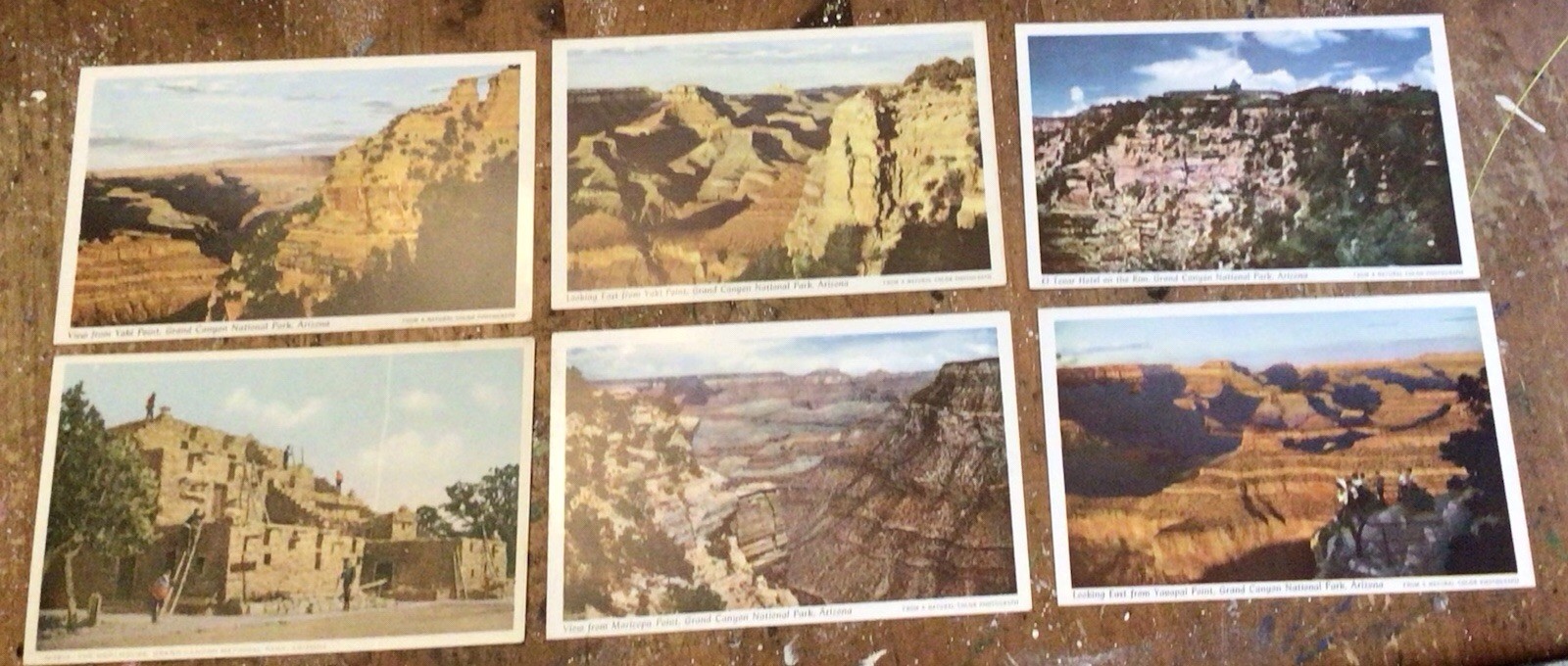 Lot Of (11) Fred Harvey Grand Canyon National Park Unposted Good Condition