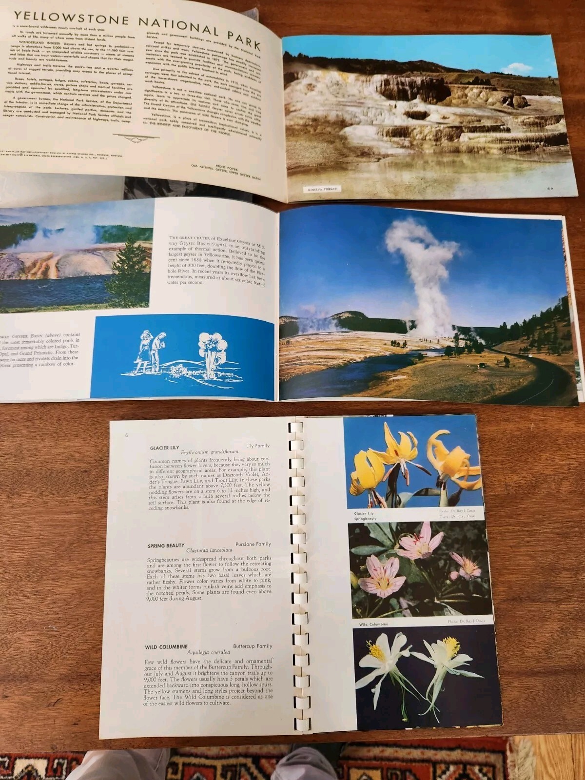 1960s Yellowstone Park Souvenir Albums, brochures, slides lot