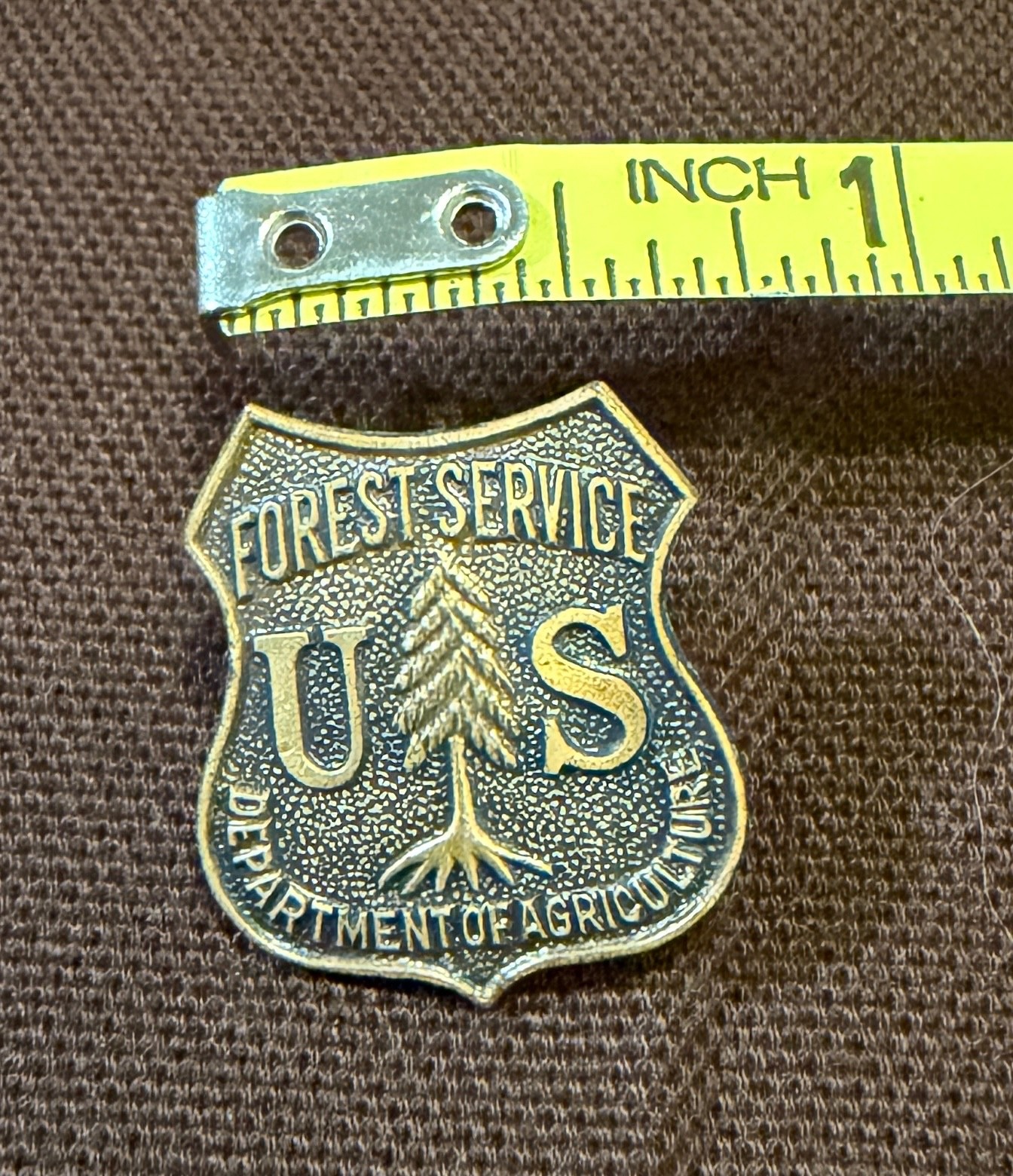 50s US Forest Service / Department Of Agriculture Lapel Badge Pin