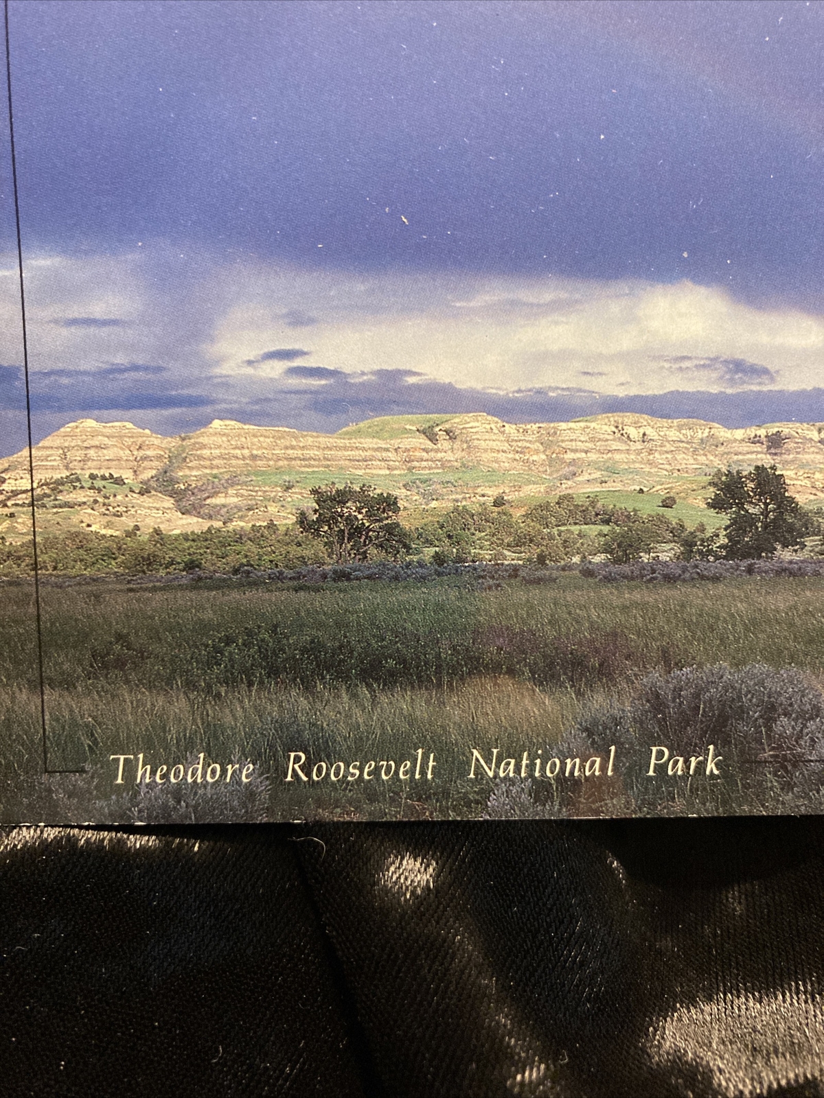 Vintage Theodore Roosevelt National Park Postcard Unposted RPPC