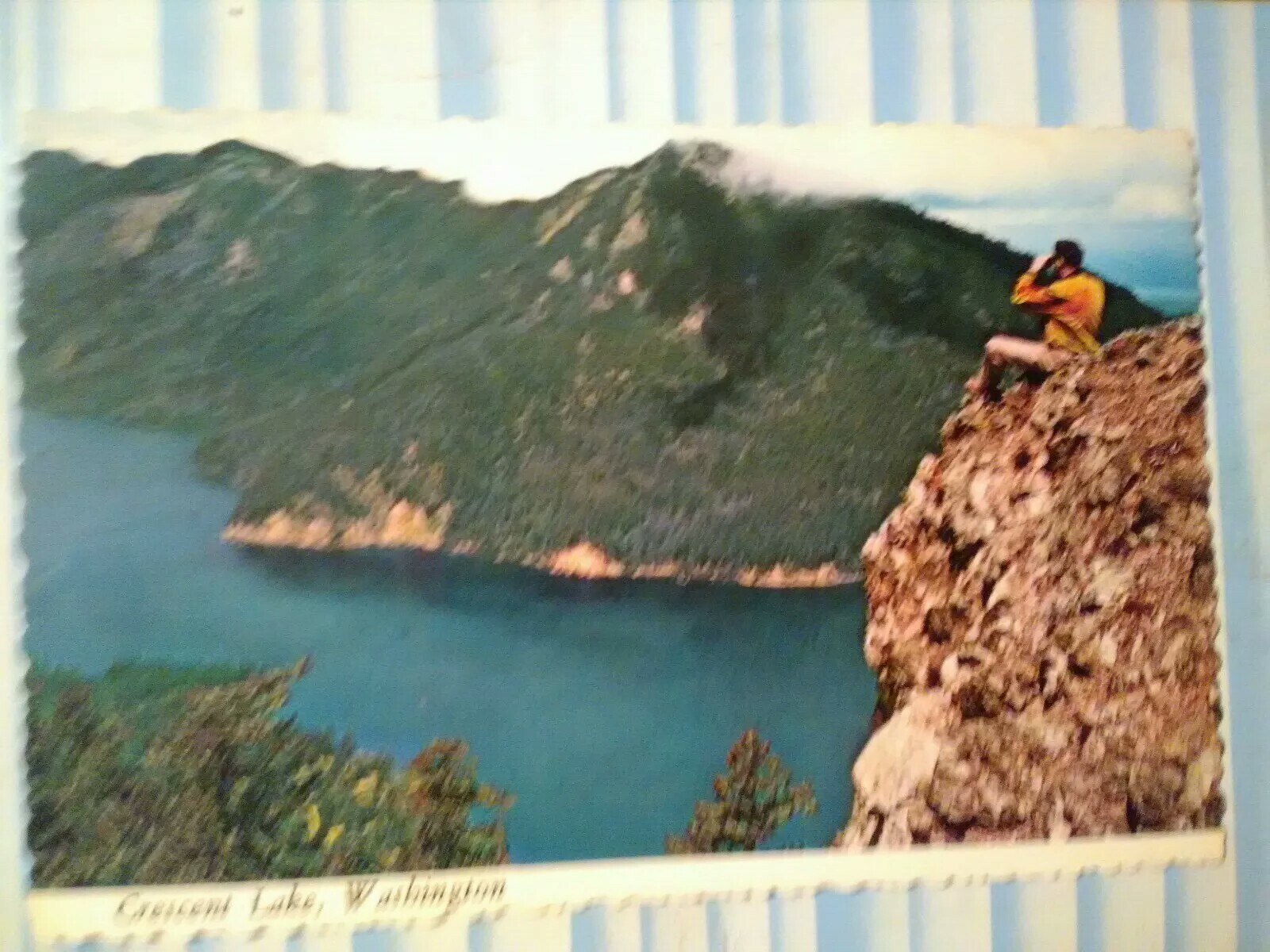 VINTAGE POST CARD AERIAL VIEW CRESCENT LAKE WASHINGTON