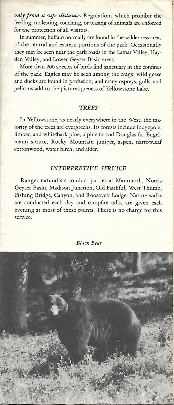 Official 1951 Road Map Brochure YELLOWSTONE NATIONAL PARK Montana Wyoming Idaho