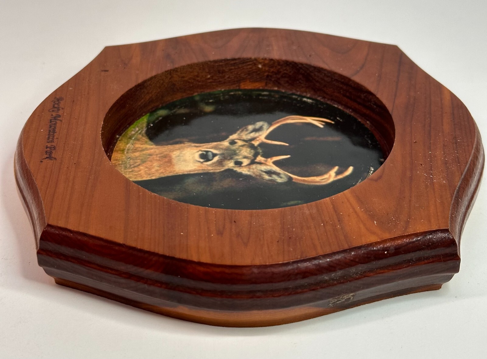Vintage Rocky Mountain National Park ASHTRAY WOOD AND GLASS WITH DEER