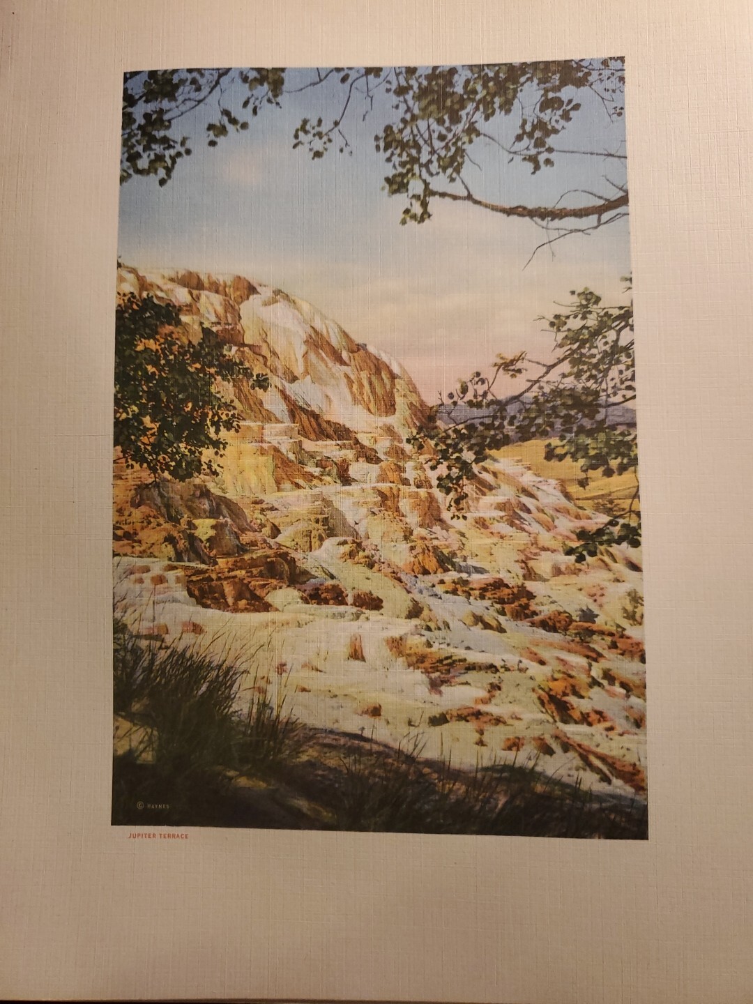Vintage 1920s Haynes Souvenir Yellowstone National Park Colored Linen Prints