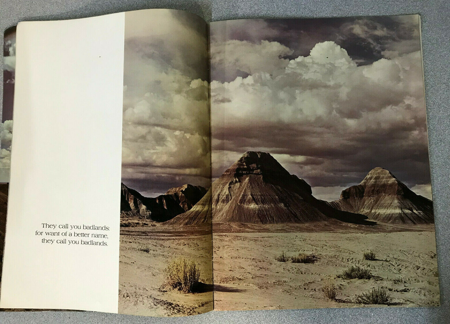 This Painted Desert Petrified Forest National Park John Wagoner 1971 Art Book