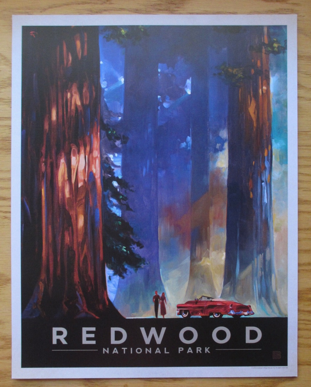 Redwood National Park Art Print 11×14