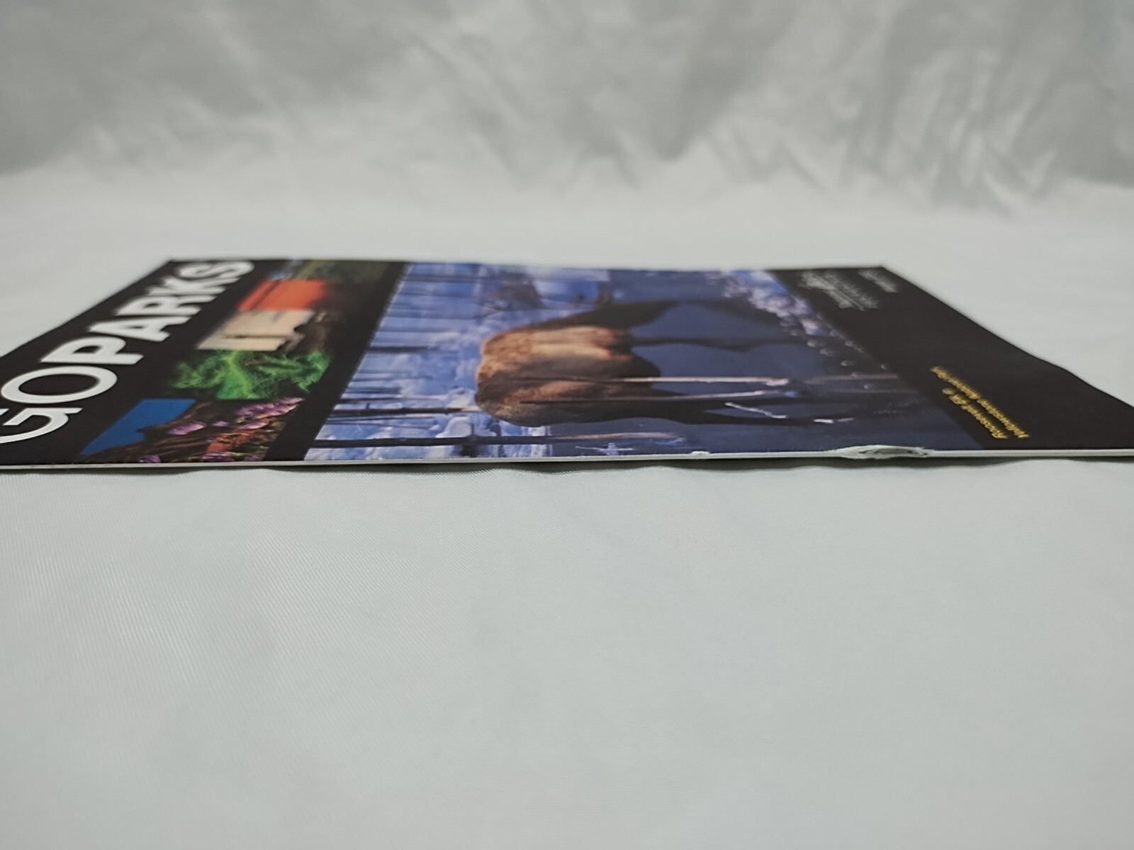 Winter 2001 Goparks National Park Foundation Brochure