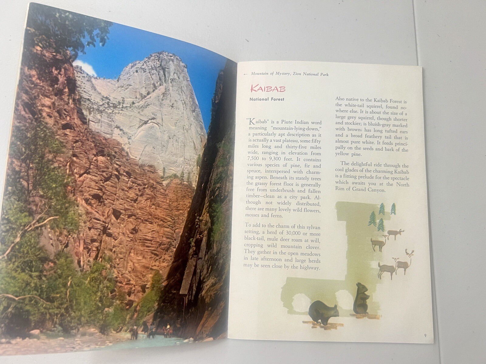 Vintage 1951 Zion Bryce Canyon Grand Canyon National Parks Union Pacific Booklet