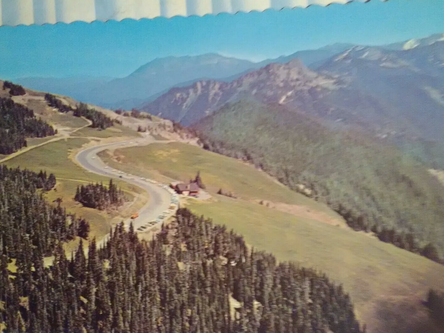 POST CARD HURRICANE RIDGE – OLYMPIC NATIONAL PARK WASHINGTON