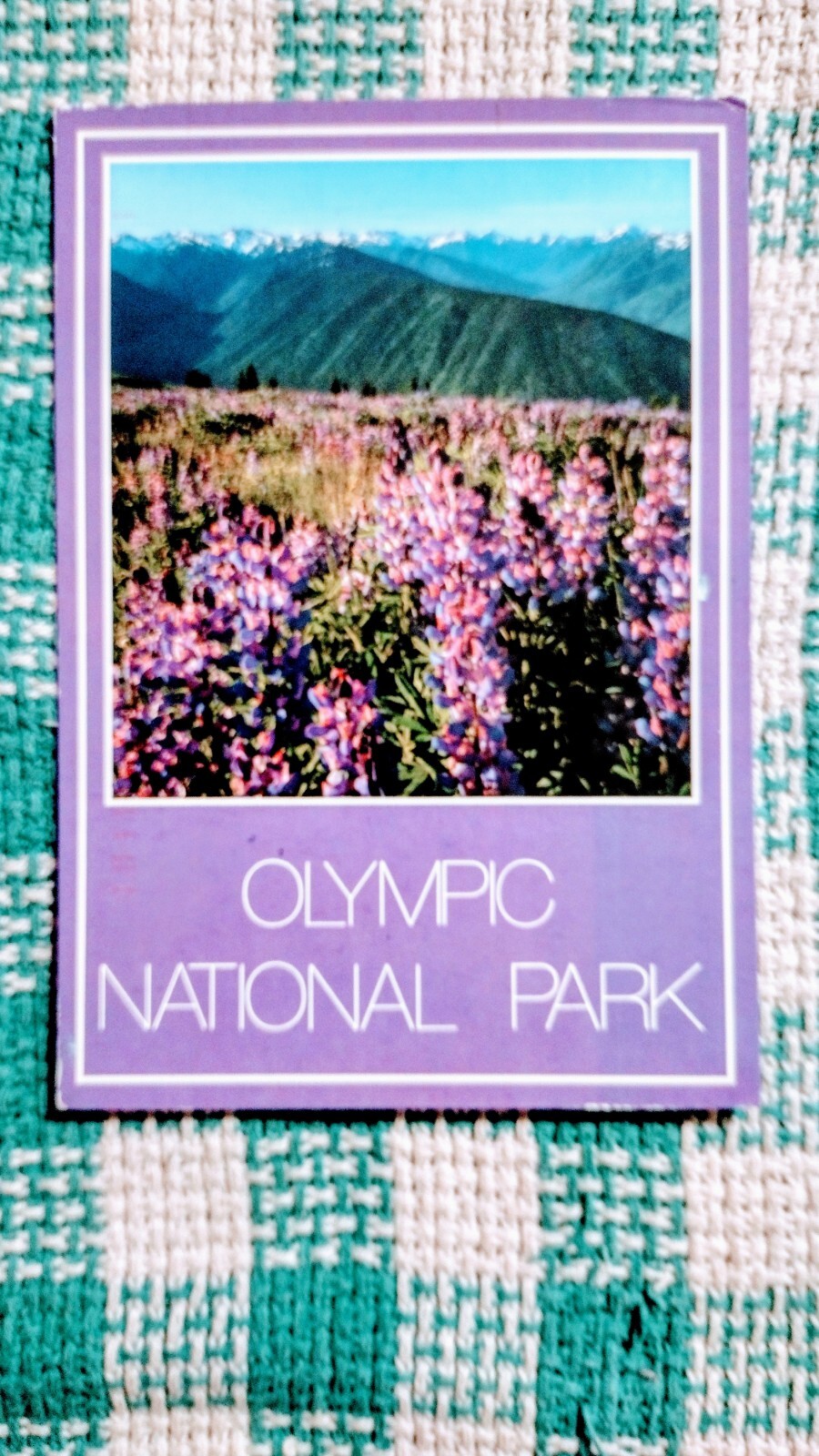 BEAUTIFUL POST CARD OLYMPIC NATIONAL PARK WASHINGTON PACIFIC NORTHWEST
