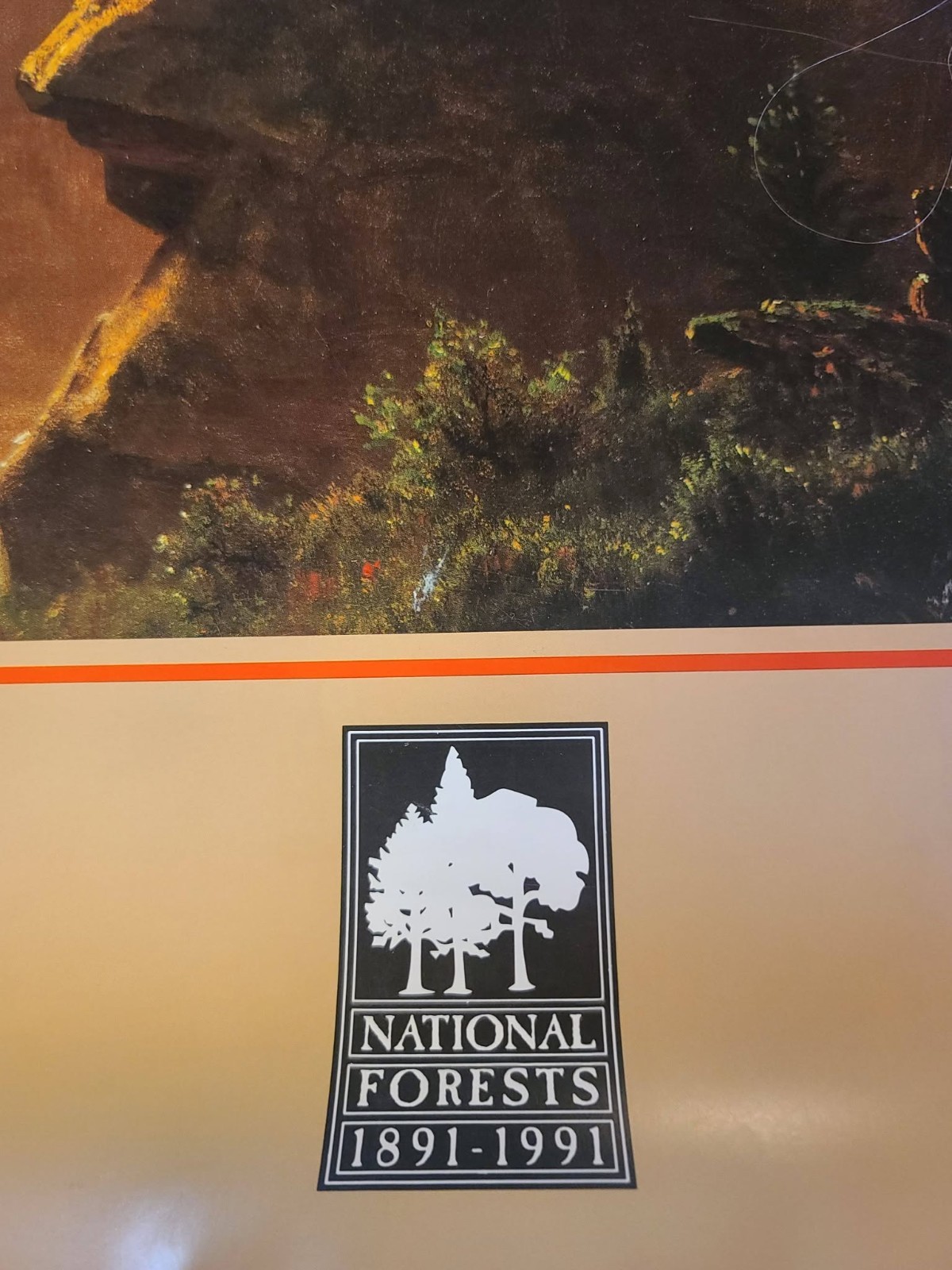 National Forests Conservation Poster US Forest Service 24×36