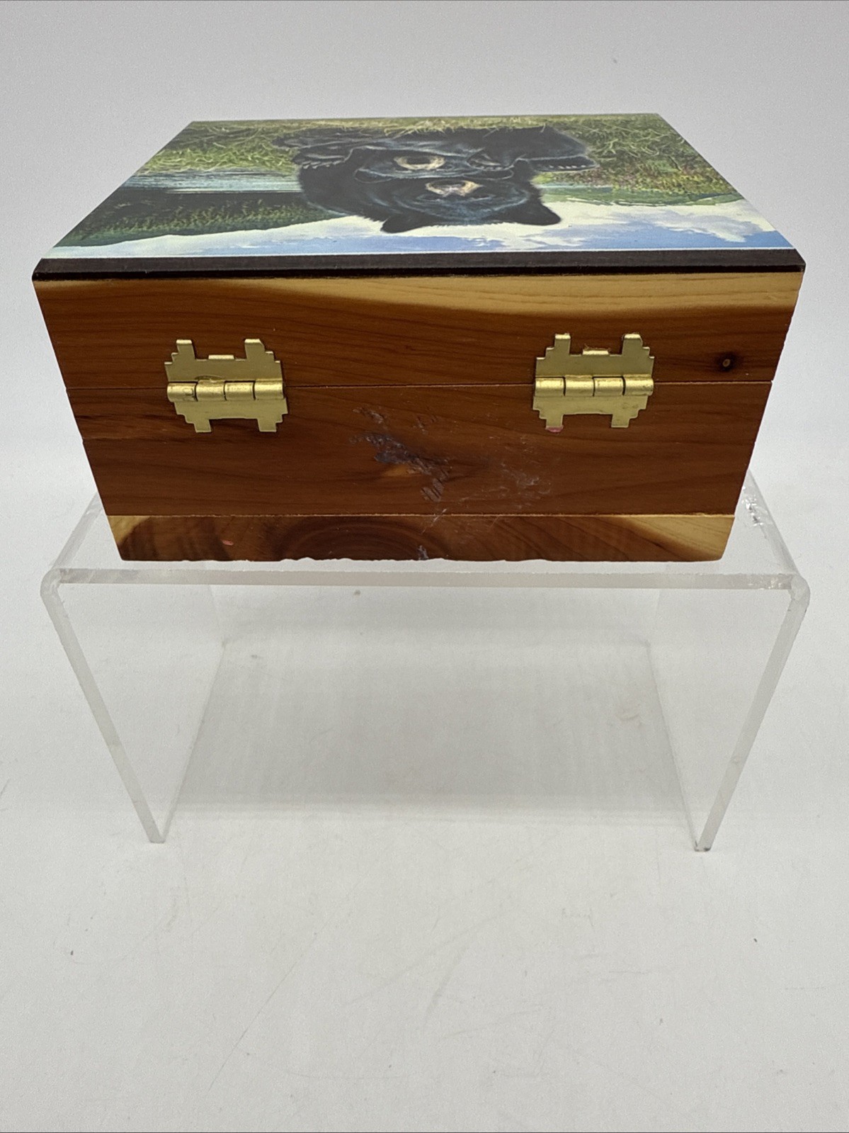 Vintage Shenandoah National Park Cedar Box Bear Theme Nature Wood Souvenir
