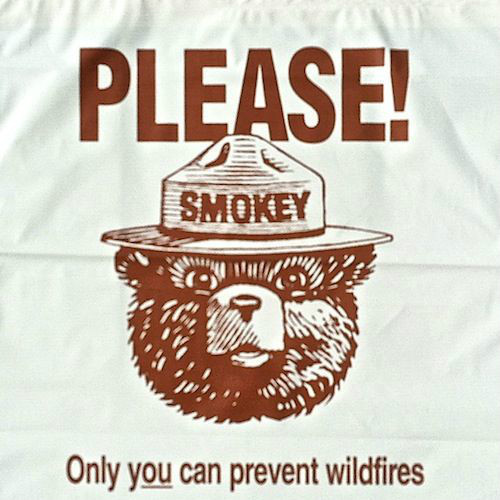 2 Original 1970s SMOKEY THE BEAR Litter Bag Plastic ONLY YOU CAN PREVENT Fires