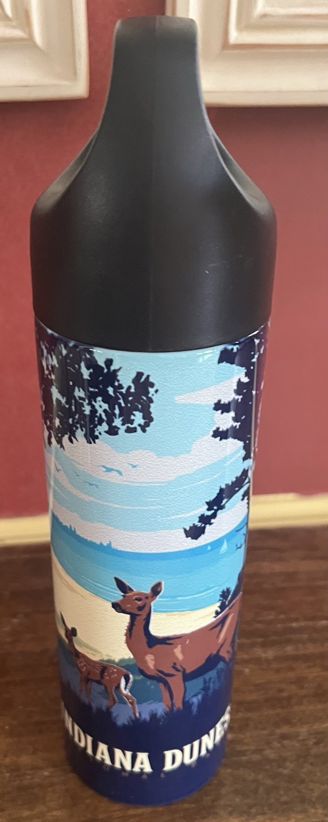 NEW Indiana Dunes National Park Travel Souvenir Thermos Stainless Steel 16oz !