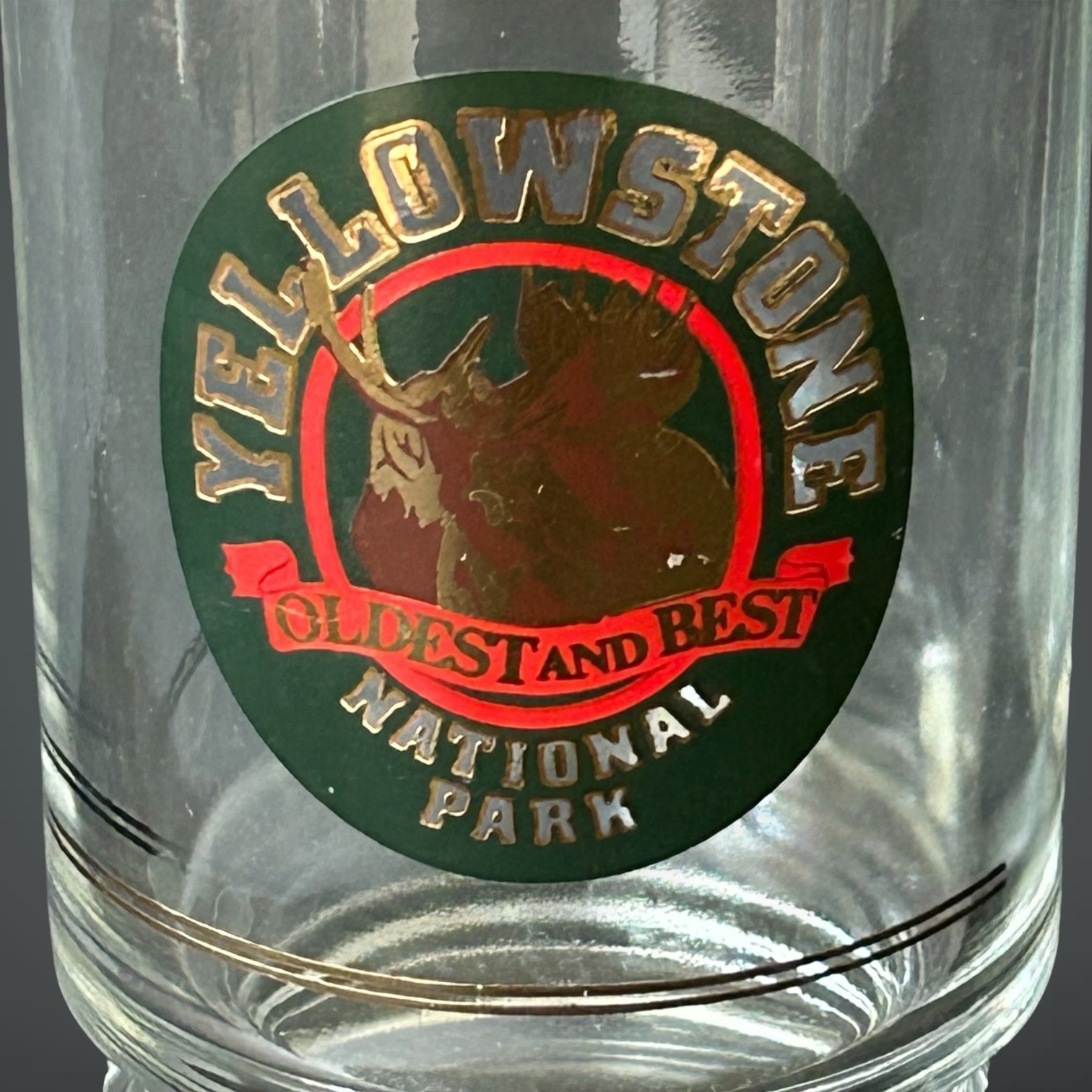 Vintage Yellowstone National Park Oldest And Best Moose Logo 16oz Glass Mug