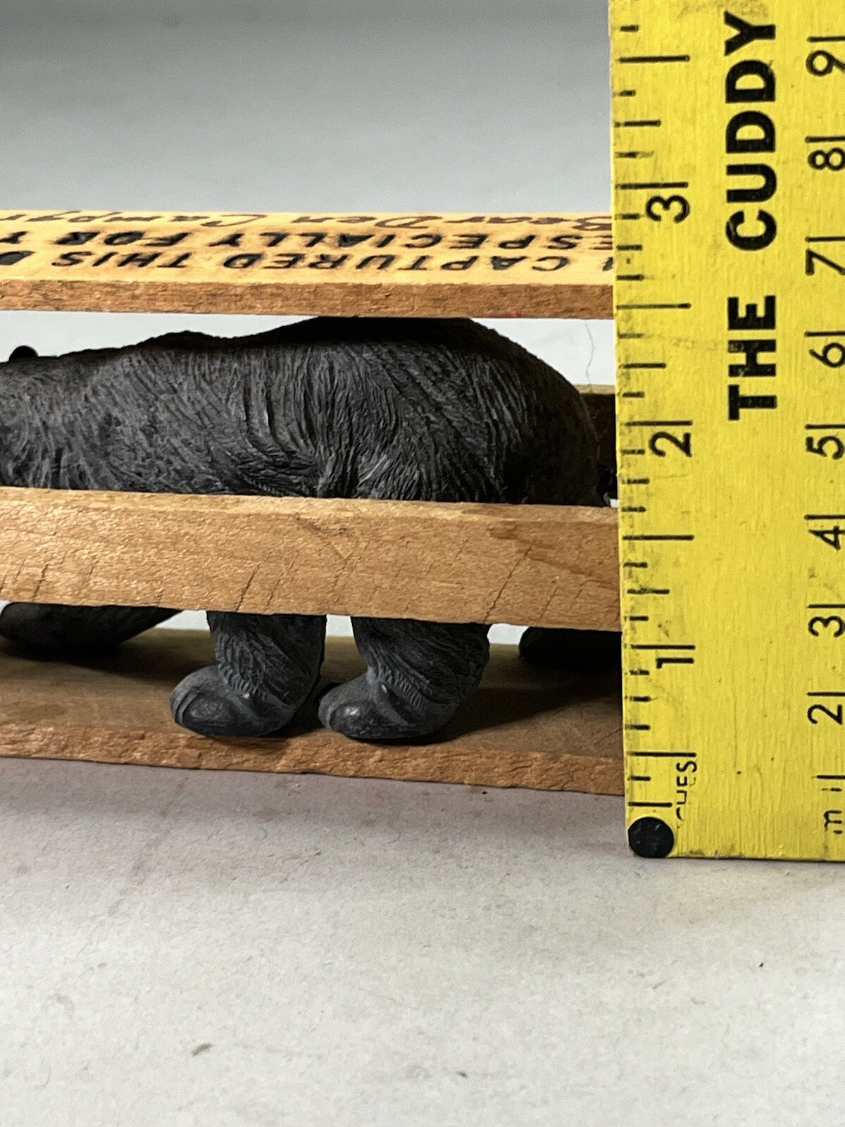 Bear Den Campground N.C. National Park Grizzly Bear In Crate Souvenir Vintage