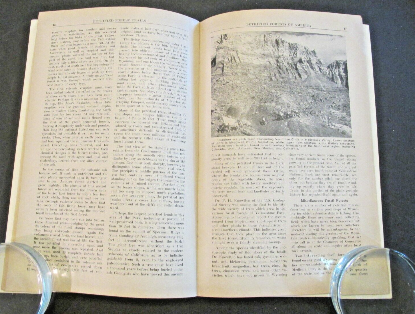 VTG 1955 Petrified Forest Trails Jay Ellis Ransom Booklet Pictures References