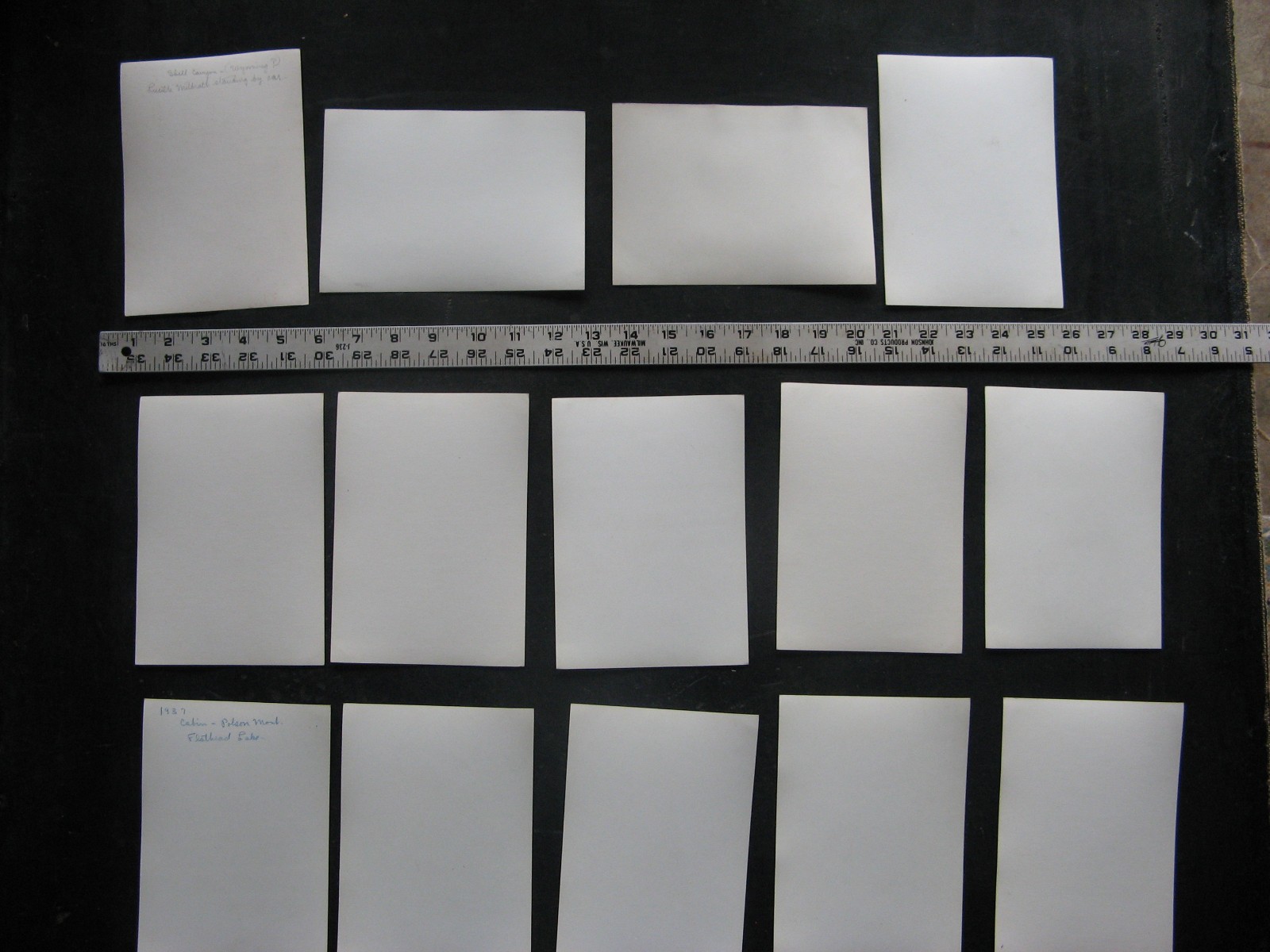 ’30s YELLOWSTONE PARK 51 PHOTO SET 8x10s & rppc size STUNNING! w GLACIER & BANFF