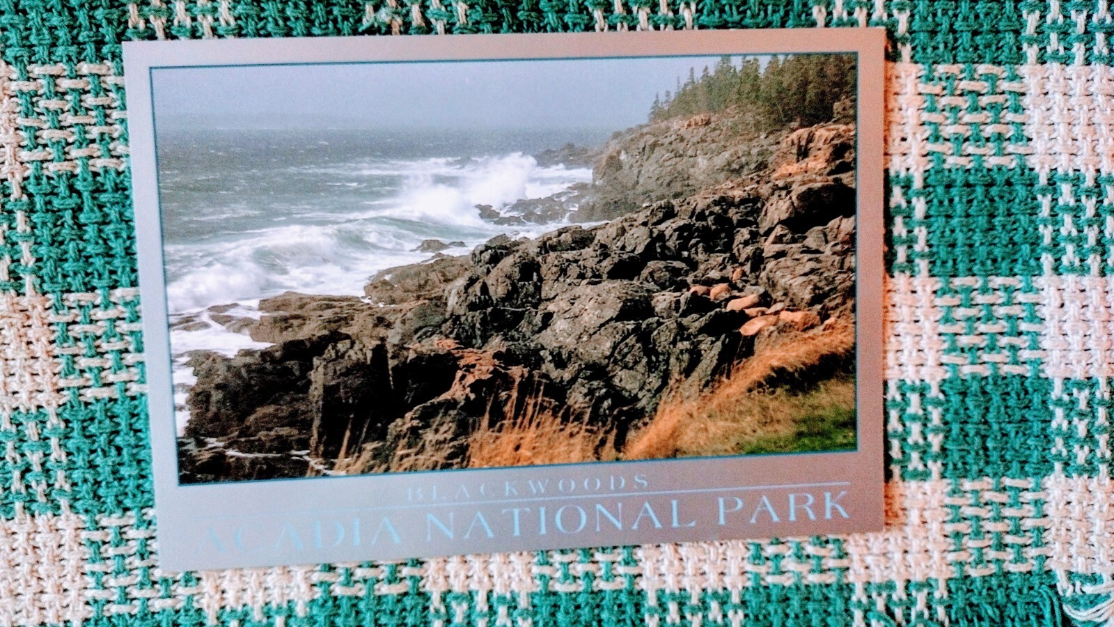 POST CARD BEAUTIFUL BLACK WOODS ACADIA NATIONAL PARK MAINE.