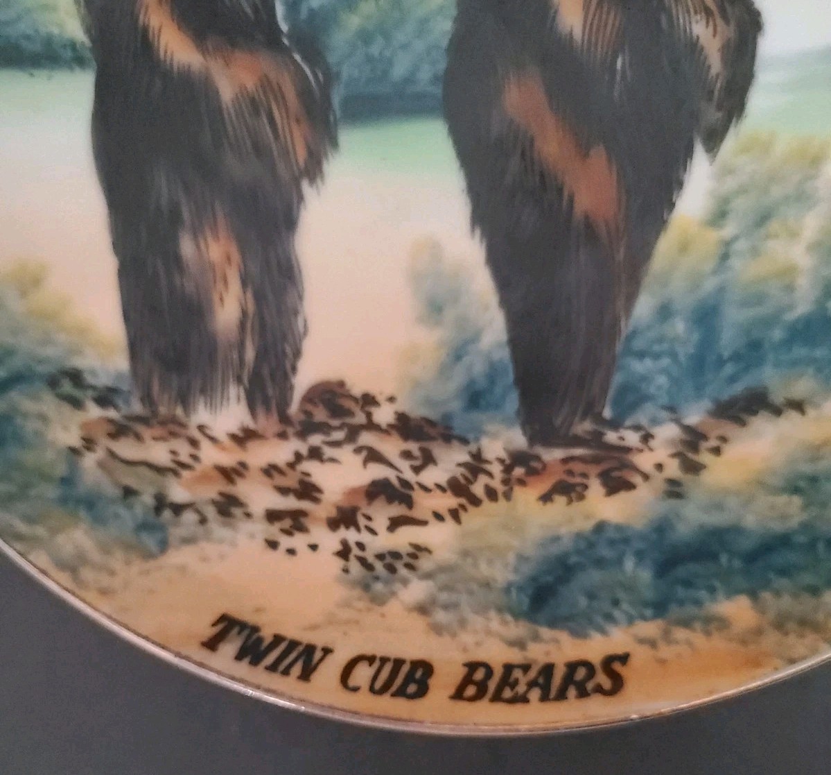 Vintage EARLY YELLOWSTONE NATIONAL PARK SOUVENIR 8″ Wall Plate Twin Bear Cubs