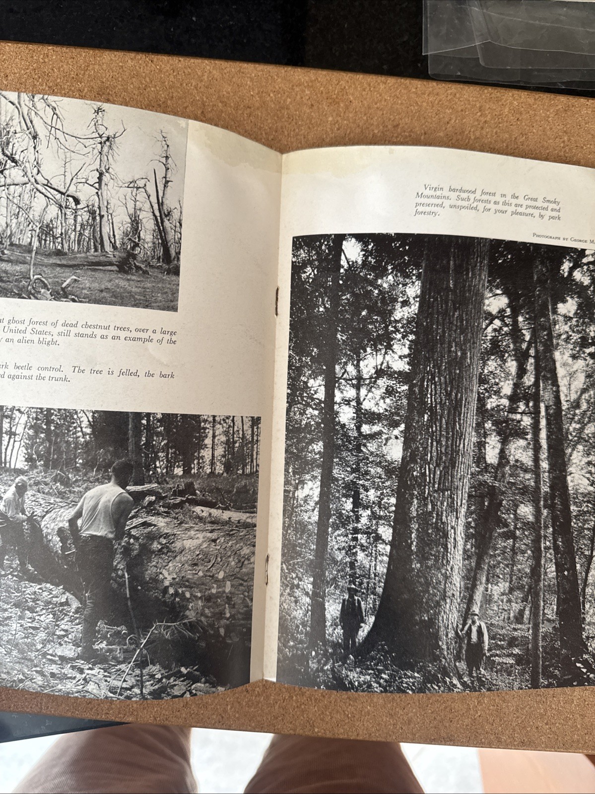Conservation of Nature Portfolio National Park and Monument System 1938 Part 2