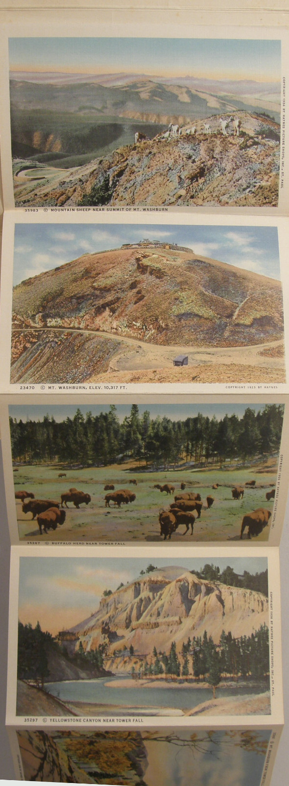 VINTAGE c1937 HAYNES SOUVENIR FOLDER POSTCARD YELLOWSTONE PARK SERIES A B C D