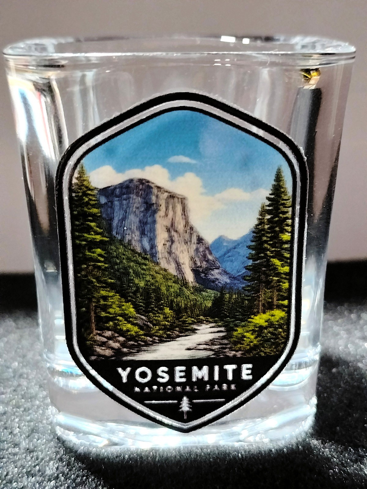 Yosemite National Park Souvenir Heavy Base Square Shot Glass El Capitan tree NEW