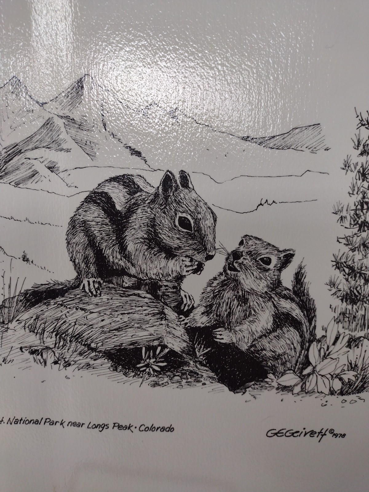 G.E. Geivett Print 1978 “Snack Time In Rocky Mtn Natl Park” Vintage Laminated